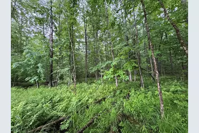 Pinecrest Drive, Gladwin, MI 48624 - Photo 22