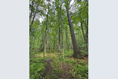 Pinecrest Drive, Gladwin, MI 48624 - Photo 24