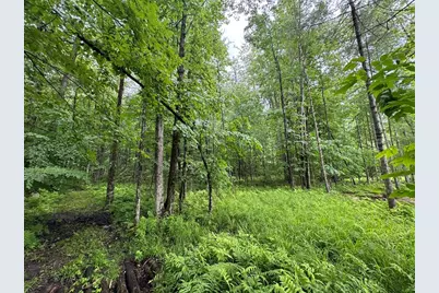 Pinecrest Drive, Gladwin, MI 48624 - Photo 6