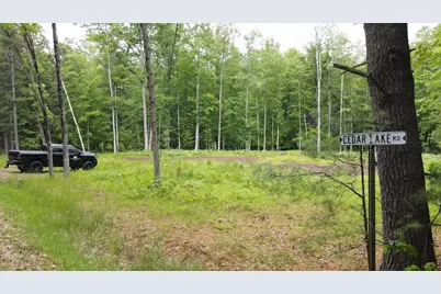 Pinecrest Drive, Gladwin, MI 48624 - Photo 18