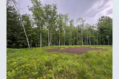 Pinecrest Drive, Gladwin, MI 48624 - Photo 4