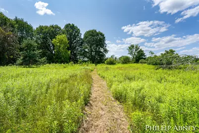12842 W Hillis Road, Trufant, MI 49347 - Photo 44