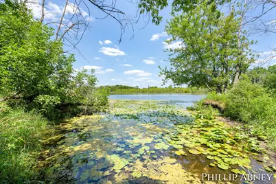12842 W Hillis Road, Trufant, MI 49347 - Photo 26