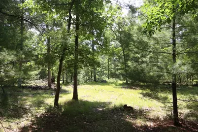 002 E Greenwood Road, Prescott, MI 48756 - Photo 8