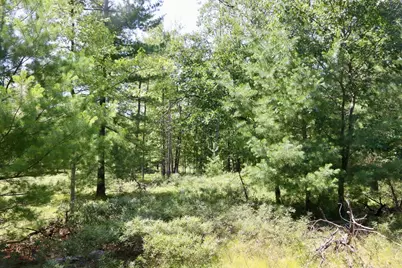 002 E Greenwood Road, Prescott, MI 48756 - Photo 6