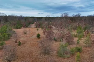 3728 N Custer Rd, Manistee, MI 49660 - Photo 1