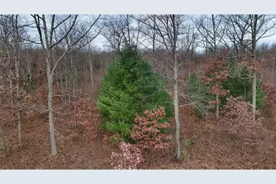 3728 N Custer Road, Manistee, MI 49660 - Photo 2