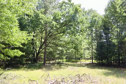 003 E Greenwood Road, Prescott, MI 48756 - Photo 12