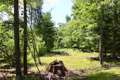 003 E Greenwood Road, Prescott, MI 48756 - Photo 16
