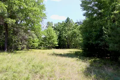 003 E Greenwood Road, Prescott, MI 48756 - Photo 4