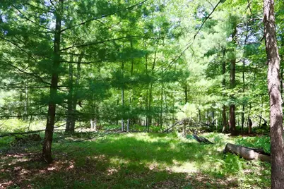 003 E Greenwood Road, Prescott, MI 48756 - Photo 8