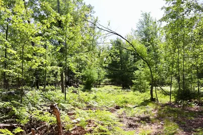003 E Greenwood Road, Prescott, MI 48756 - Photo 14