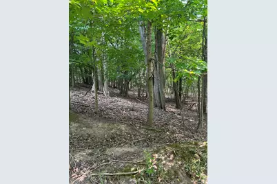 V/L Longbridge East Parcel 11, Pentwater, MI 49449 - Photo 2