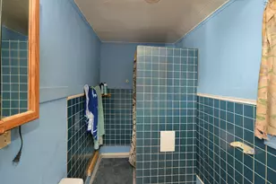 212 N Brown St, Paw Paw, MI 49079 - Photo 12