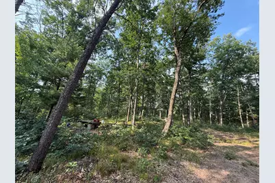 2668 W Moonflower, Baldwin, MI 49304 - Photo 4