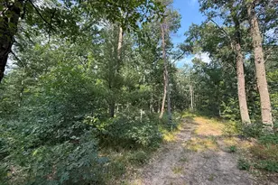 2668 W Moonflower, Baldwin, MI 49304 - Photo 1
