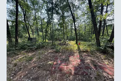 2668 W Moonflower, Baldwin, MI 49304 - Photo 8