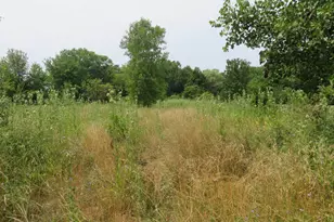 11000 Morton Taylor Rd, Belleville, MI 48111 - Photo 18