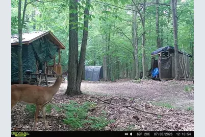 14739 9 Mile Road, Reed City, MI 49677 - Photo 28