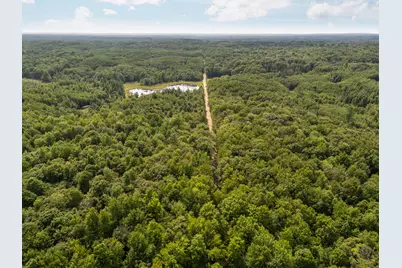 14739 9 Mile Road, Reed City, MI 49677 - Photo 58