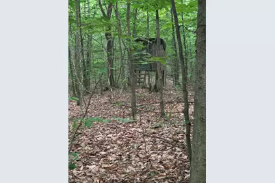 14739 9 Mile Road, Reed City, MI 49677 - Photo 22