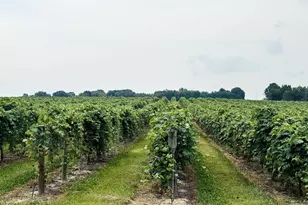 604 W John Beers Rd, Stevensville, MI 49127 - Photo 28