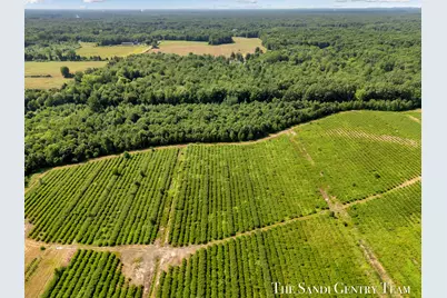 Johnson Road, Fruitport, MI 49415 - Photo 14