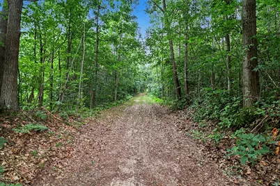 V/L N Larson Road, Fountain, MI 49410 - Photo 1