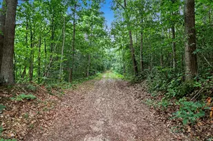V/L N Larson Rd, Fountain, MI 49410 - Photo 1