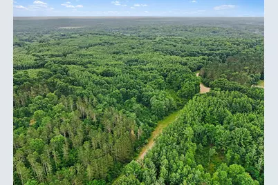 V/L N Larson Road, Fountain, MI 49410 - Photo 14