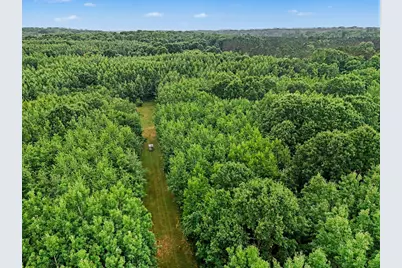 V/L N Larson Road, Fountain, MI 49410 - Photo 4