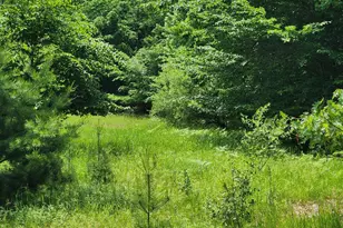 00 E Starlight Rdg Circle, Onekama, MI 49675 - Photo 1