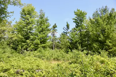 04 Down To Earth Way, Prescott, MI 48756 - Photo 6