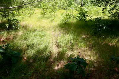 04 Down To Earth Way, Prescott, MI 48756 - Photo 8