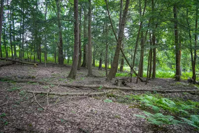 N Apple Drive #Lot 38/2.36 A m/l, White Cloud, MI 49349 - Photo 20