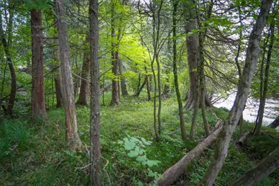 N Apple Drive #Lot 38/2.36 A m/l, White Cloud, MI 49349 - Photo 22