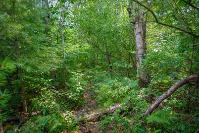 N Apple Drive #Lot 62/1.88 A m/l, White Cloud, MI 49349 - Photo 14