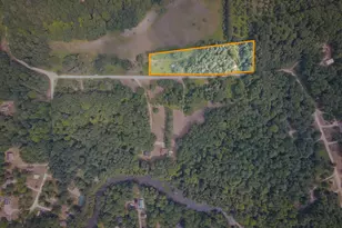 N Apple Dr, White Cloud, MI 49349 - Photo 1