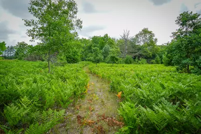 N Apple Drive #Lot 62/1.88 A m/l, White Cloud, MI 49349 - Photo 10