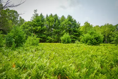 N Apple Drive #Lot 63/0.95 A m/l, White Cloud, MI 49349 - Photo 4