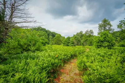 N Apple Drive #Lot 63/0.95 A m/l, White Cloud, MI 49349 - Photo 8