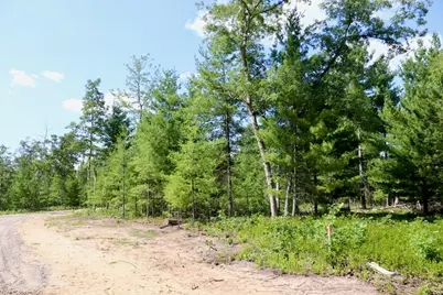 06 Down To Earth Way, Prescott, MI 48756 - Photo 10