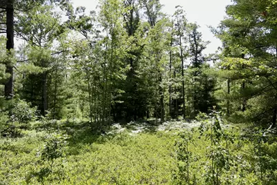 05 Down To Earth Way, Prescott, MI 48756 - Photo 20