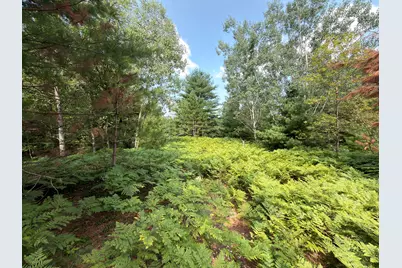 25A Nyrkkanen Road, Kaleva, MI 49645 - Photo 14