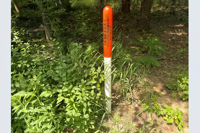 25A Nyrkkanen Road, Kaleva, MI 49645 - Photo 24