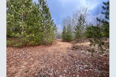 25A Nyrkkanen Road, Kaleva, MI 49645 - Photo 10