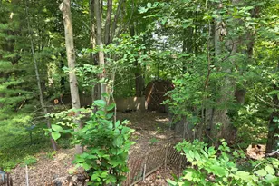 22270 W Kendaville Rd, Pierson, MI 49339 - Photo 4