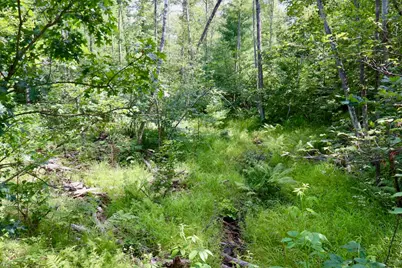 07 Down To Earth Way, Prescott, MI 48756 - Photo 8