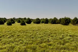 1824 W Bessinger Rd, Turner, MI 48765 - Photo 30