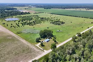 1824 W Bessinger Rd, Turner, MI 48765 - Photo 2